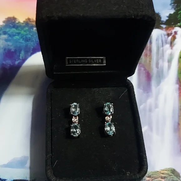 Aquamarine Vintage Earrings - Picture 1 of 7